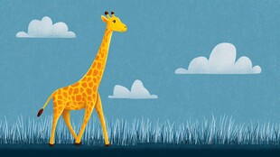 漫步草原的可爱长颈鹿