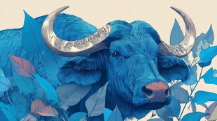 蓝色水牛置身繁茂植物间