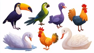 多彩家禽与鸟类插画集合
