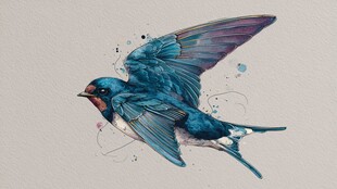 水彩风格飞翔的蓝色燕子