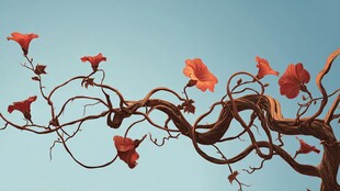 橙红牵牛花缠绕枝干美景