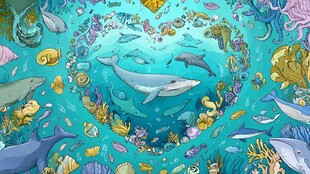 海洋生物的心形梦幻世界