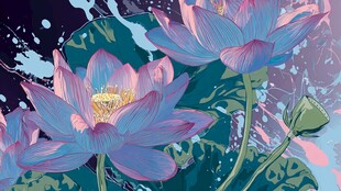 梦幻水彩风绽放的荷花