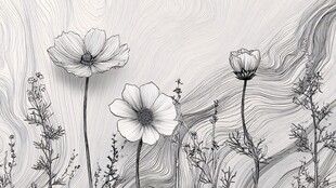 黑白线条绘就的花卉景致