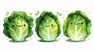 可爱白菜插画