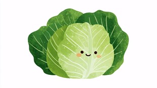 可爱卡通卷心菜插画