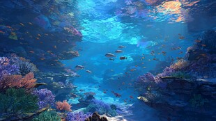 梦幻海底世界 多彩珊瑚鱼群