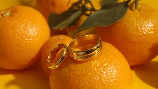 橙上双环 浪漫与甜蜜邂逅