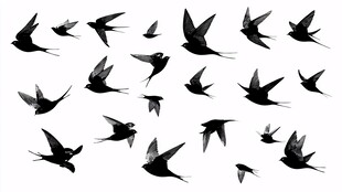 群燕飞舞剪影图