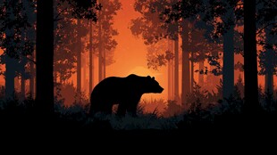 黄昏森林中的黑熊剪影