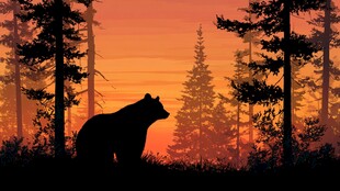 夕阳下森林中的熊剪影