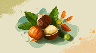 多彩榛果插画 清新自然风