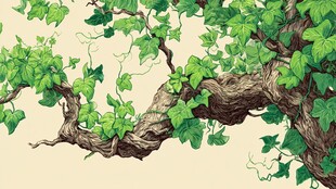 藤蔓缠绕的古朴虬枝