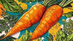 手绘双胡萝卜的多彩插画