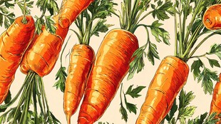 手绘胡萝卜图案