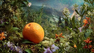 奇幻花园中的橙色果实