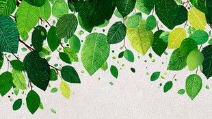 绿叶垂落的清新自然景象