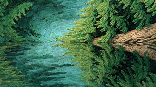 森林河流间的静谧自然景