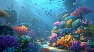 梦幻海底珊瑚世界