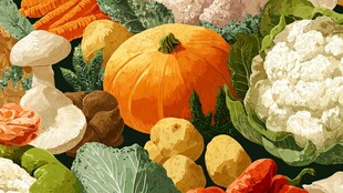 多彩新鲜蔬菜大集合