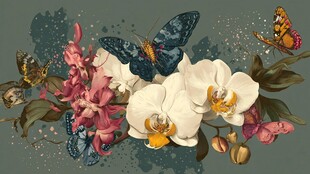 蝴蝶伴兰花的梦幻插画