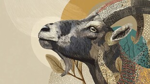 独特风格山羊插画艺术