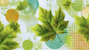 绿叶图案 清新自然风背景