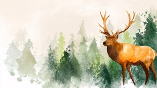 森林中的壮美麋鹿