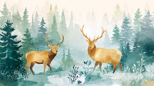 森林中的双鹿漫步