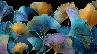 梦幻银杏叶 绚丽色彩盛宴