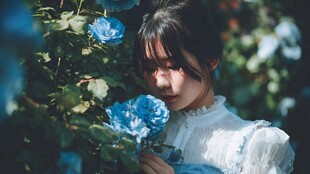 蓝玫瑰旁的唯美少女