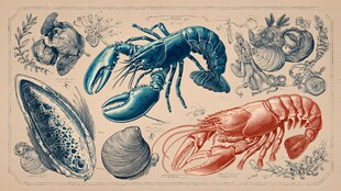 复古风海鲜插画展示