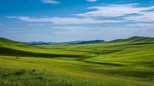 草原风光 绿野蓝天绘美景