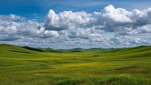 草原风光 蓝天白云绿地