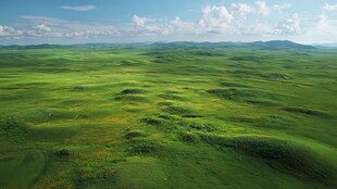 广袤绿野 天地间的自然画卷