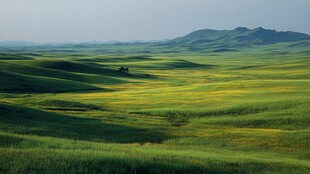 广袤绿野间的诗意田园风光