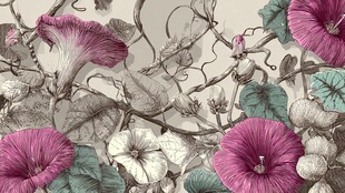 复古风牵牛花藤蔓图案