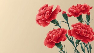 鲜艳红康乃馨花卉图