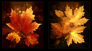 秋韵枫叶 闪耀梦幻光彩