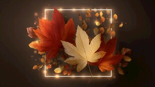 秋意枫叶光影梦幻画面