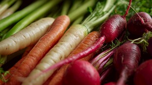 新鲜多彩蔬菜组合