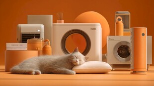 橘色空间下猫咪与家电同框