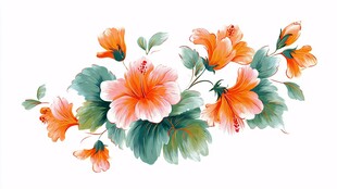 橙色木槿花插画