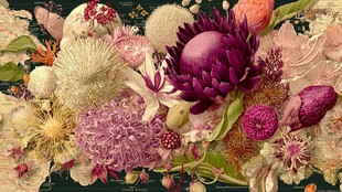 缤纷花卉组合艺术插画