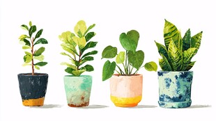 多彩盆栽水彩画