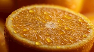 水润多汁的新鲜橙子切片