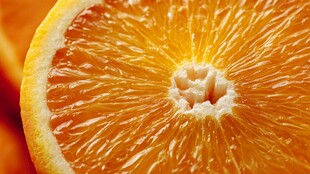 鲜橙切片特写 果肉饱满