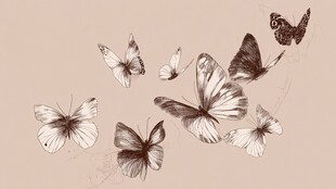 手绘蝴蝶群飞图