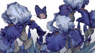 蓝紫色鸢尾花间的蝴蝶