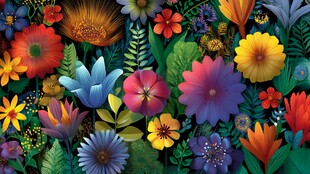 缤纷多彩花卉图案背景